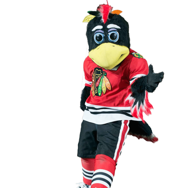 tommy hawk cutout
